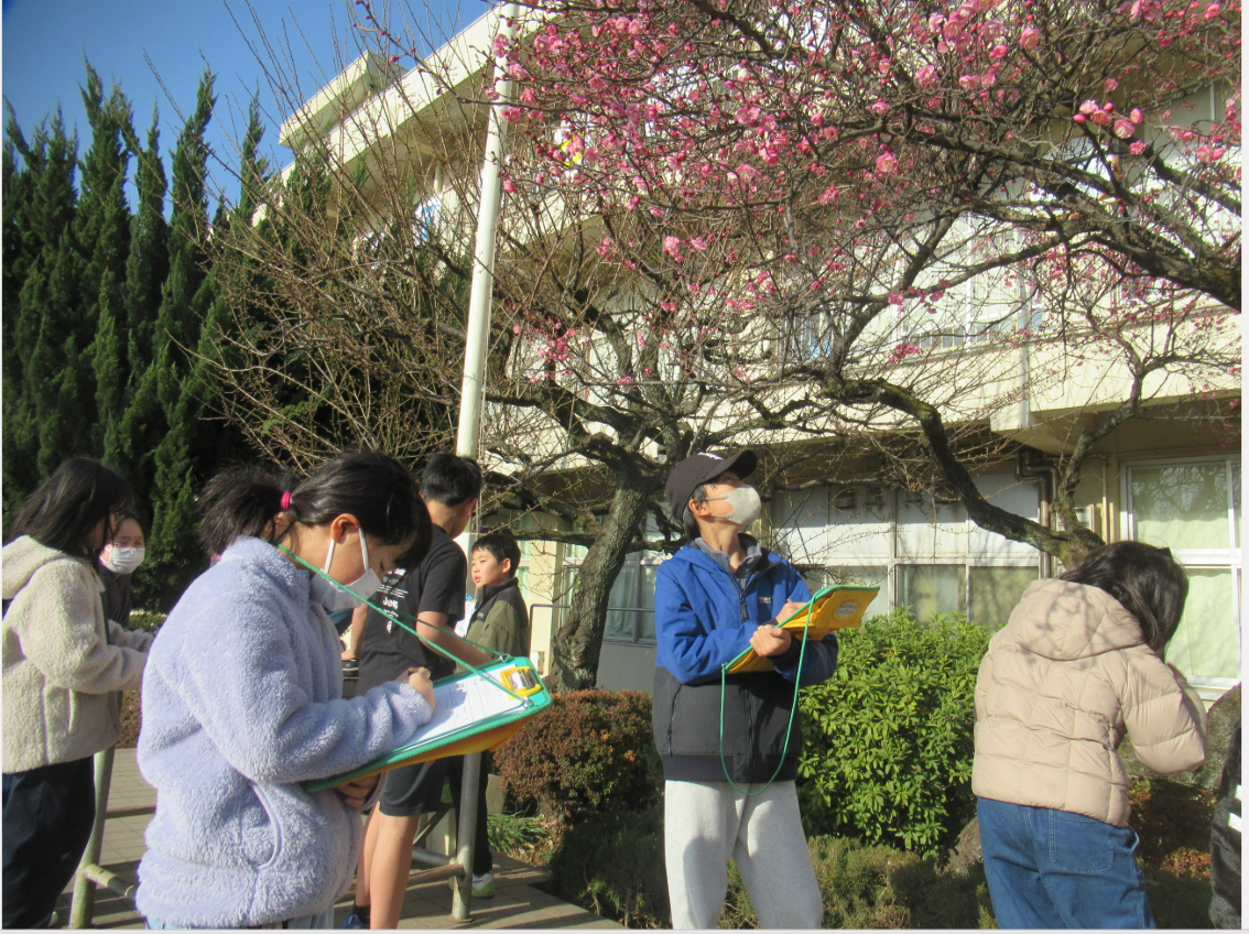 Screenshot 2026-01-23 18.26.58