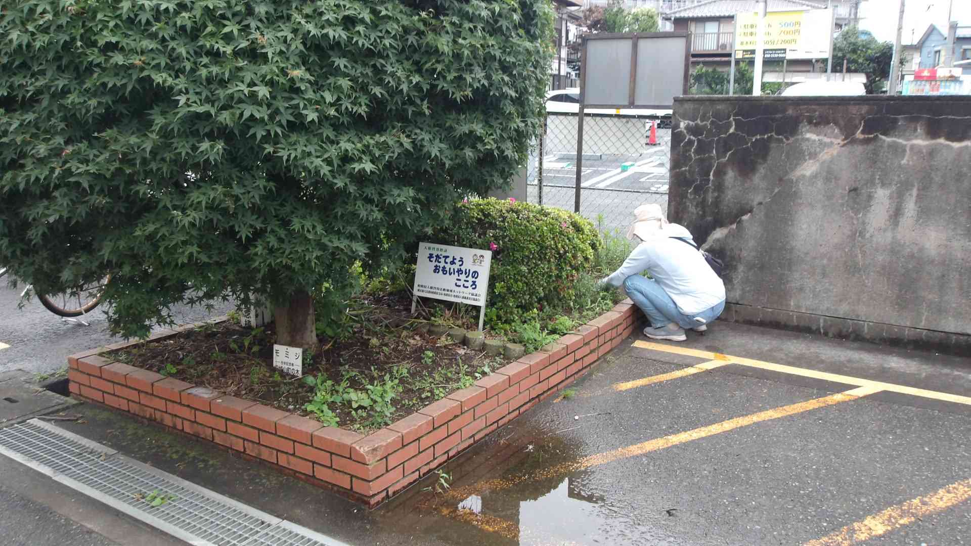 100_1126